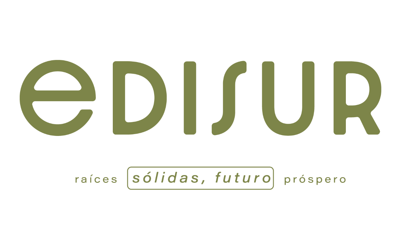 Logo de edisur grupo inmobiliario